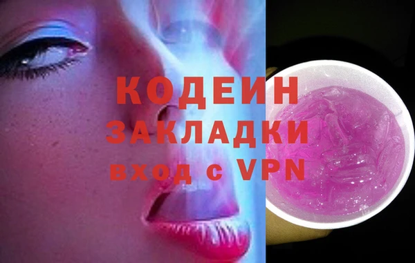 шишки Михайловск