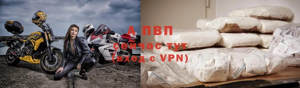 шишки Михайловск