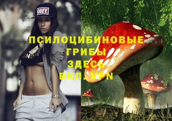 шишки Михайловск