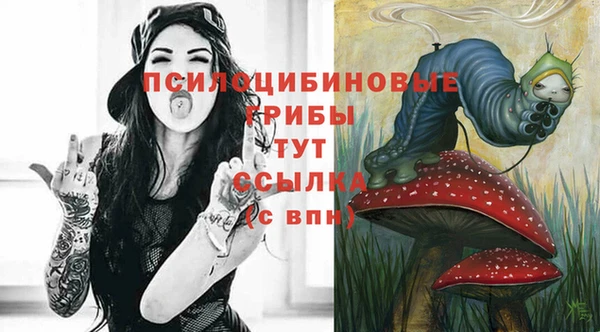 мяу мяу мука Надым
