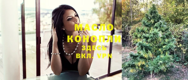 шишки Михайловск