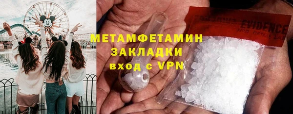шишки Михайловск