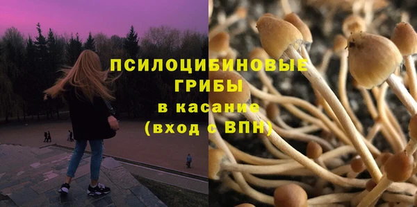 2c-b Михайловка