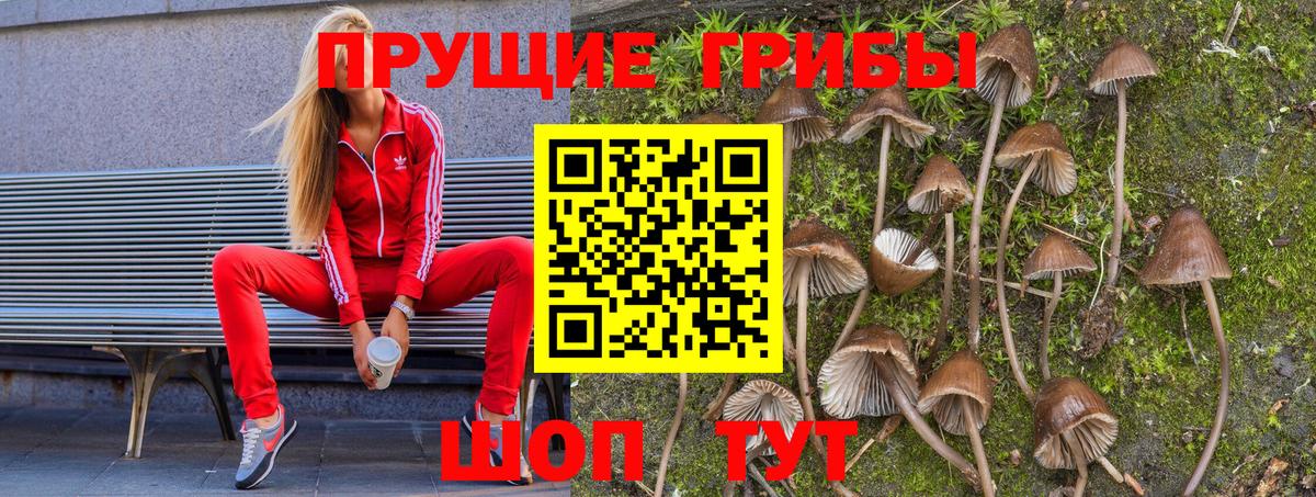 Белореченск  Галлюциногенные грибы Psilocybe  Вход с VPN  Галлюциногенные грибы Cubensis 