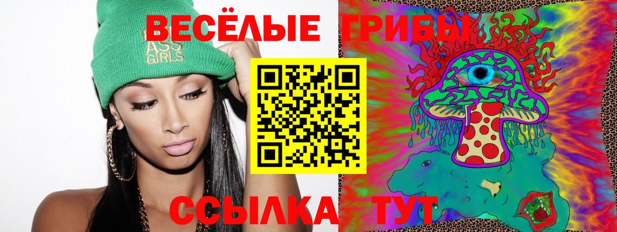 Псилоцибиновые грибы Cubensis Белореченск