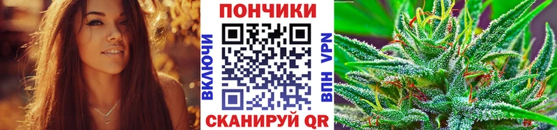 Бошки Шишки планчик Белореченск
